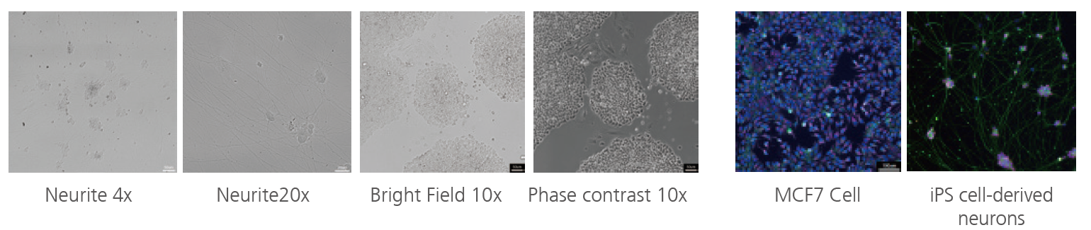 圖片8.png 圖片8.png